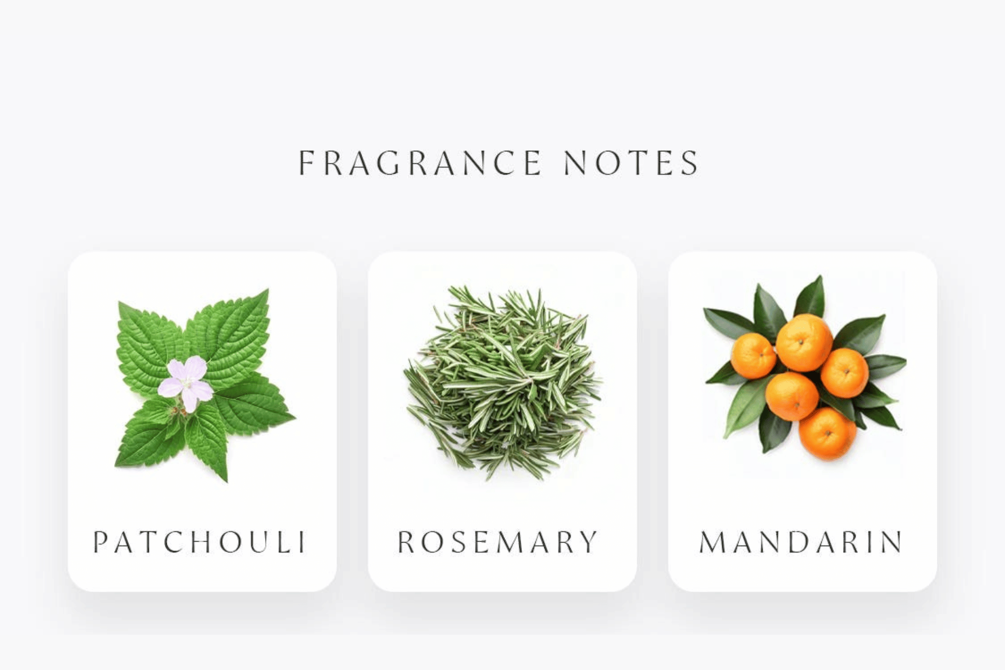 Fragrance notes of Artisanal delight incense by Amod aromas: Patchouli, Rosemary, and Mandarin on a white background.