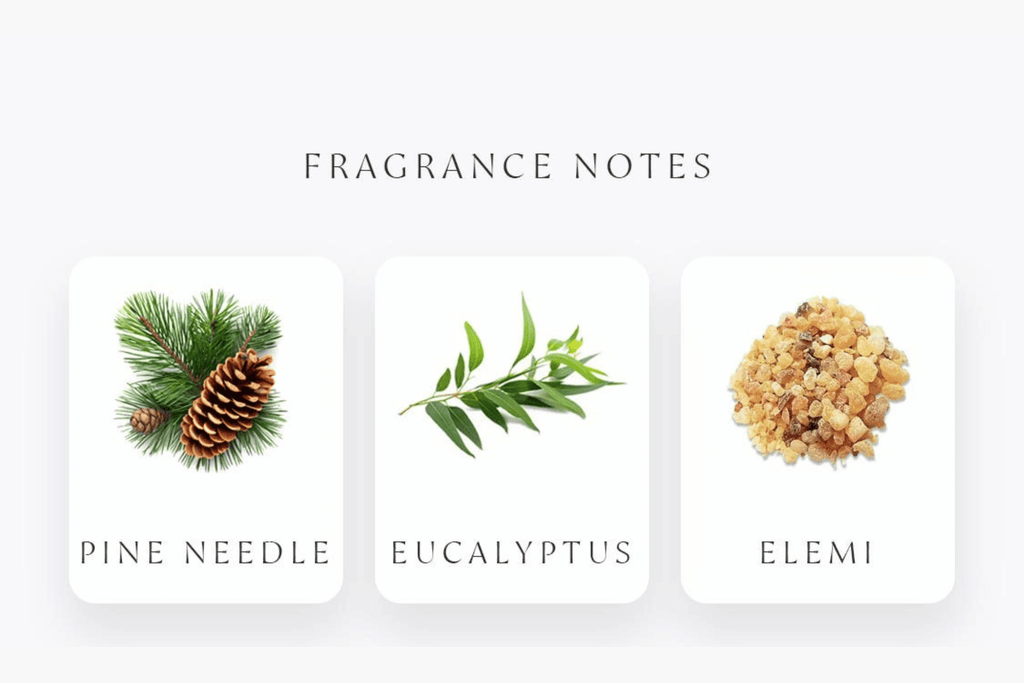 Three cards displaying fragrance notes of Exotique incense - pine needle, eucalyptus, and elemi on a white background.