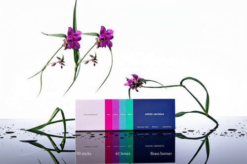 Minimalist product laydown showcasing Celestial Scent’s premium magnetic click-top packaging and botanical ingredients.
